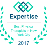 2017 expertise online award-best pt nyc-09