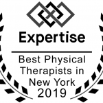 2019-expertise-online-award-best-pt-nyc